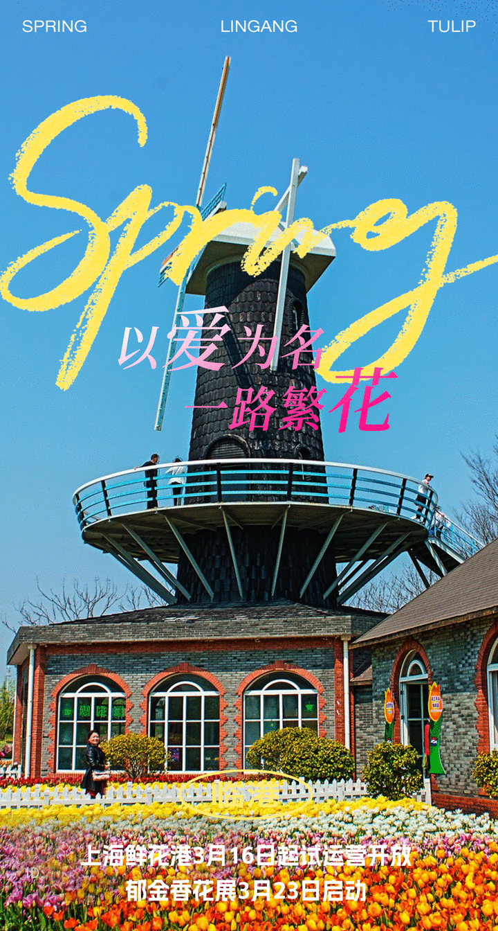 週末去哪裡?來看郁金香花展→