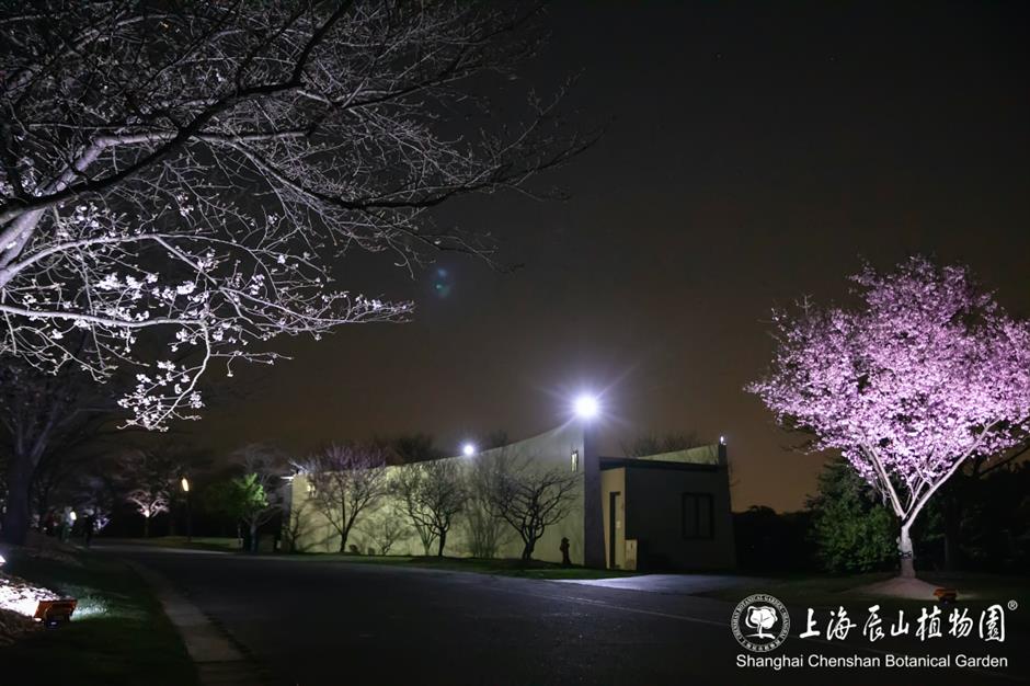 辰山植物园将延长闭园时间至19点