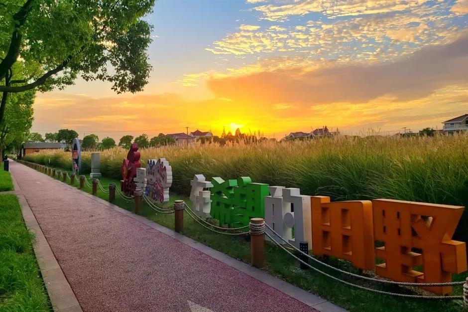 赏花打卡、乡野休闲、萌宠乐园……春日郊游从这里开始