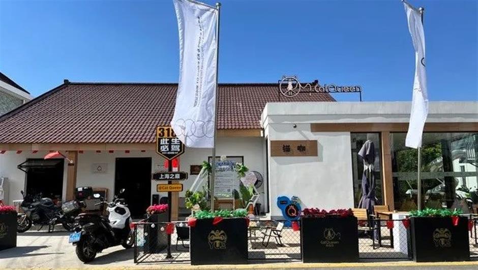 赏花打卡、乡野休闲、萌宠乐园……春日郊游从这里开始