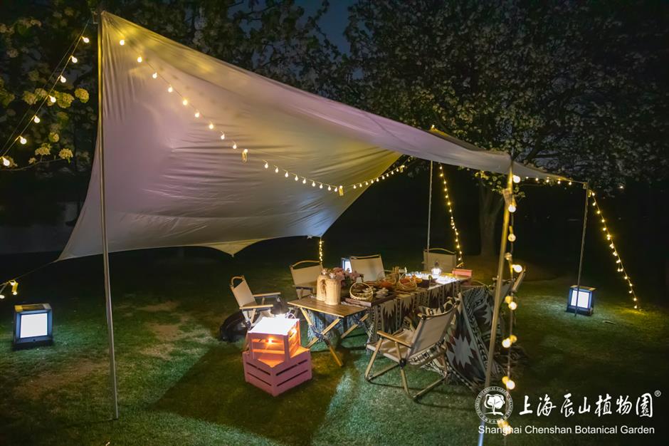 辰山植物园将延长闭园时间至19点