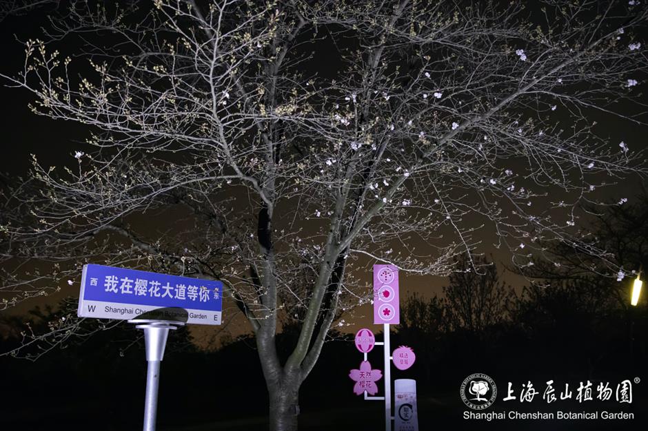 辰山植物园将延长闭园时间至19点