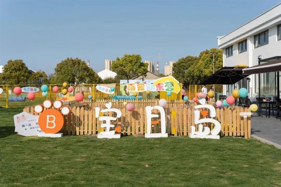 赏花打卡、乡野休闲、萌宠乐园……春日郊游从这里开始