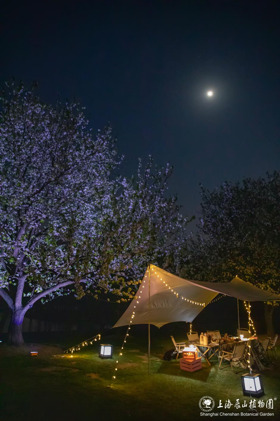 辰山植物园将延长闭园时间至19点