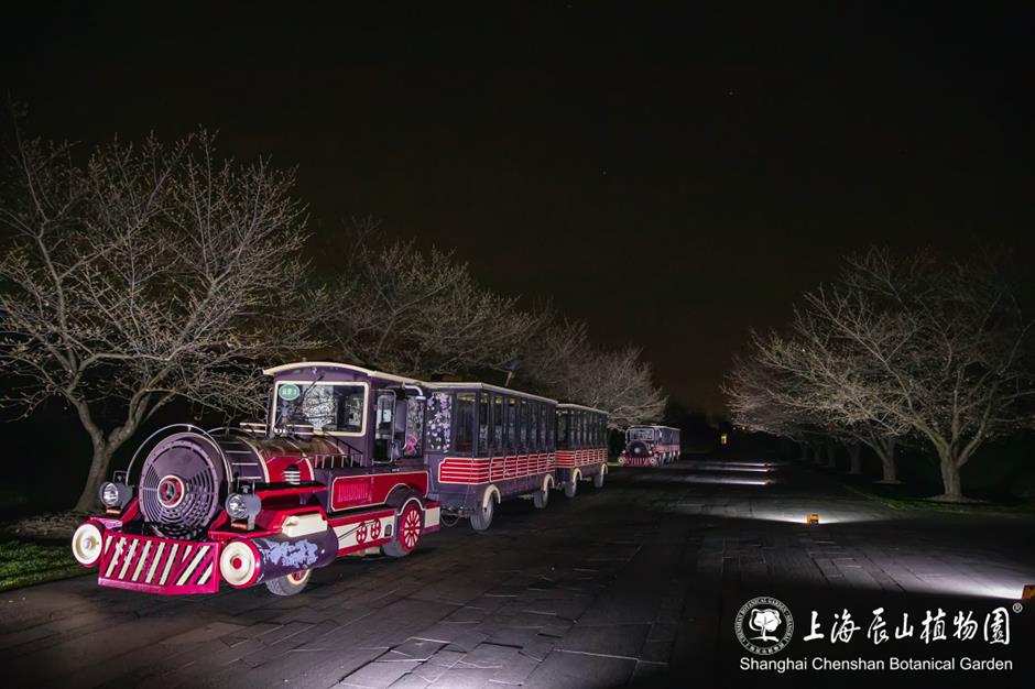 辰山植物园将延长闭园时间至19点