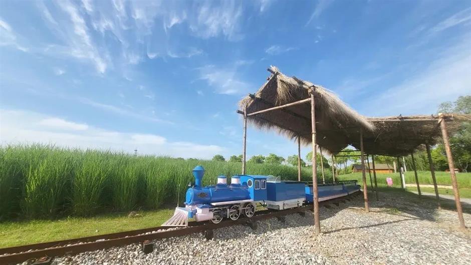 赏花打卡、乡野休闲、萌宠乐园……春日郊游从这里开始