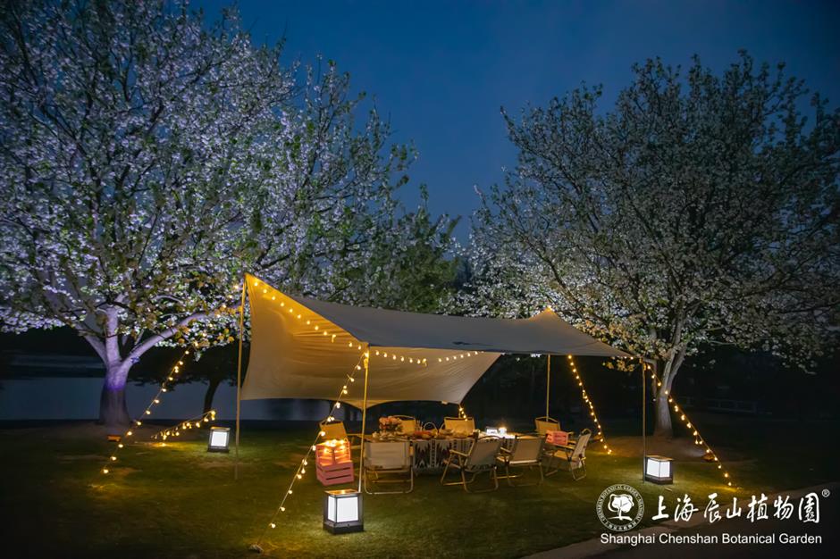 辰山植物园将延长闭园时间至19点