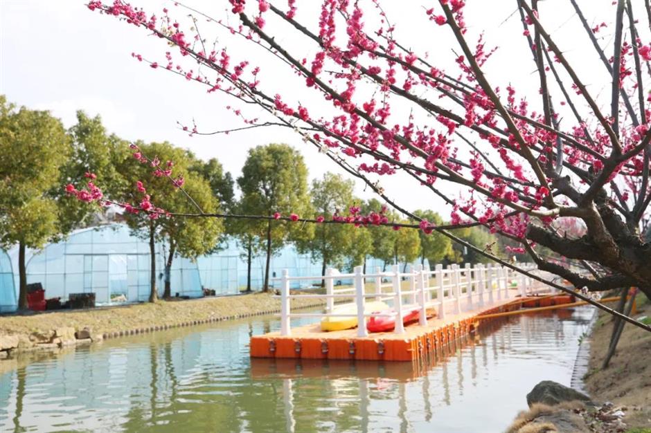 赏花打卡、乡野休闲、萌宠乐园……春日郊游从这里开始