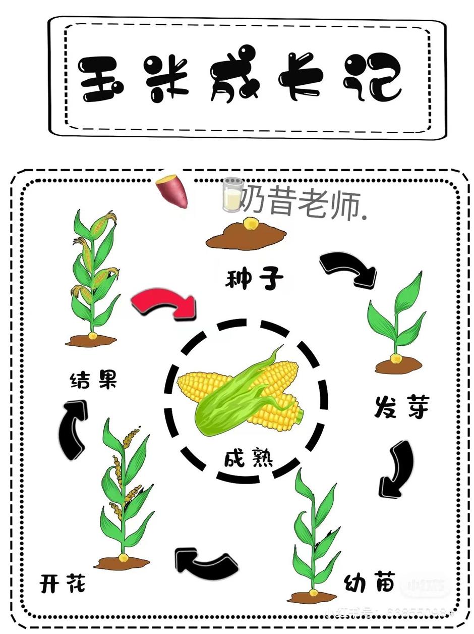 低头农作,抬头赏花,春日郊游好去处