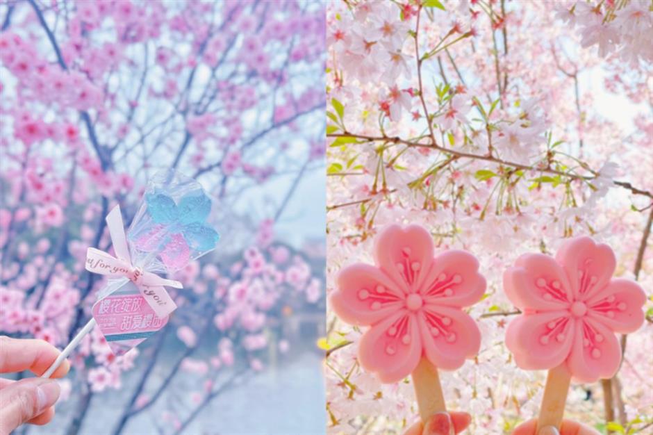 樱花开了!虹口都市樱花节好看又好逛