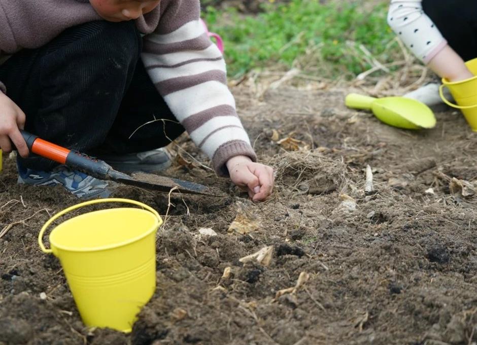 低头农作,抬头赏花,春日郊游好去处