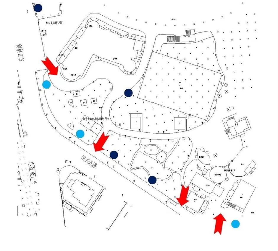 樱花开了!虹口都市樱花节好看又好逛