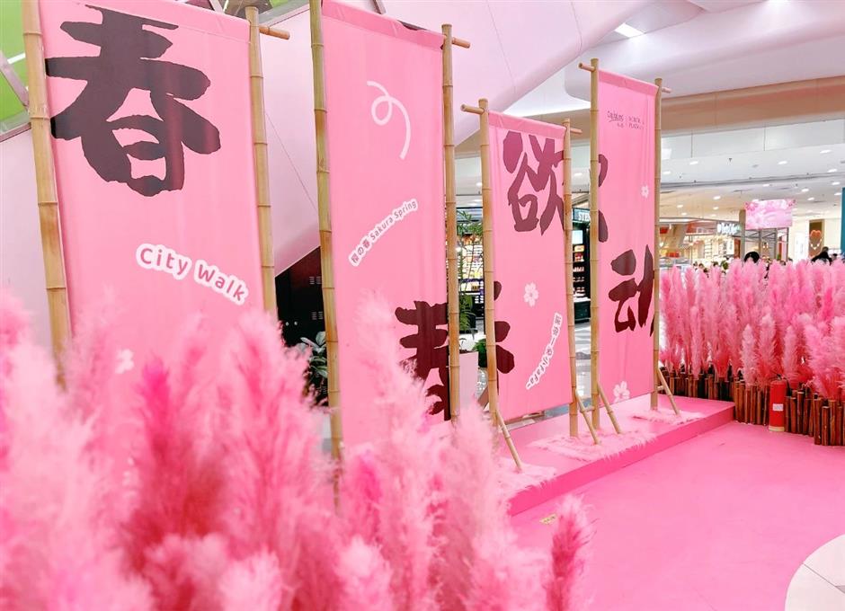 樱花开了!虹口都市樱花节好看又好逛