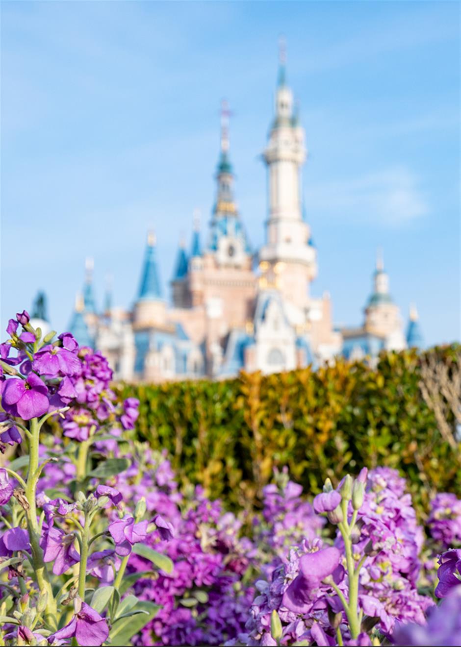 春游樂園,看這裡→