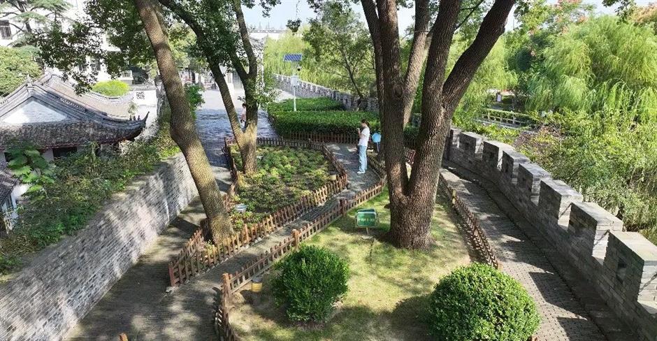 沪郊江南古镇,你低估了TA的美