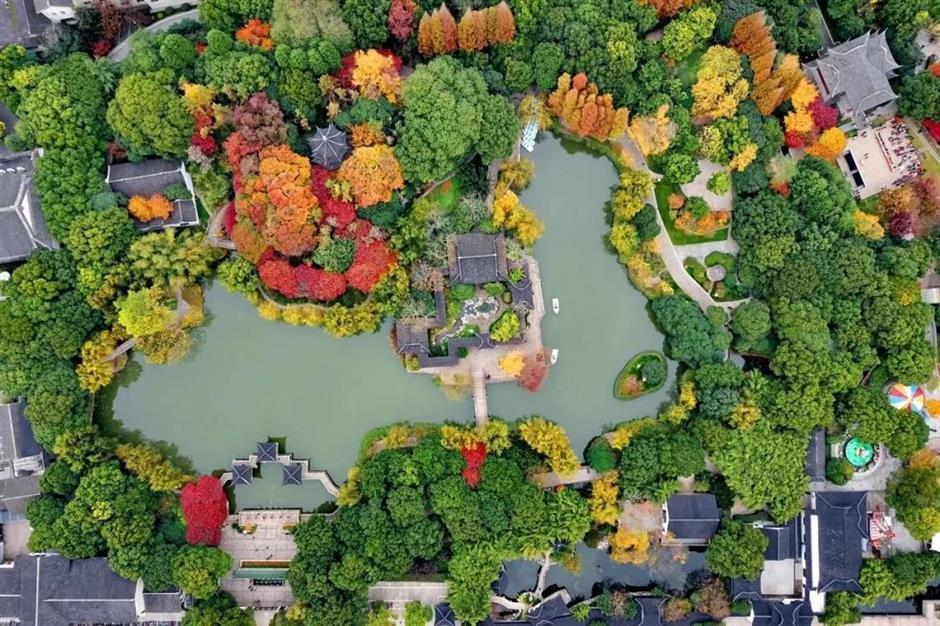 打卡「荷塘」書院、逛江南老街集市......周末,來這裡白相|家門口的好去處