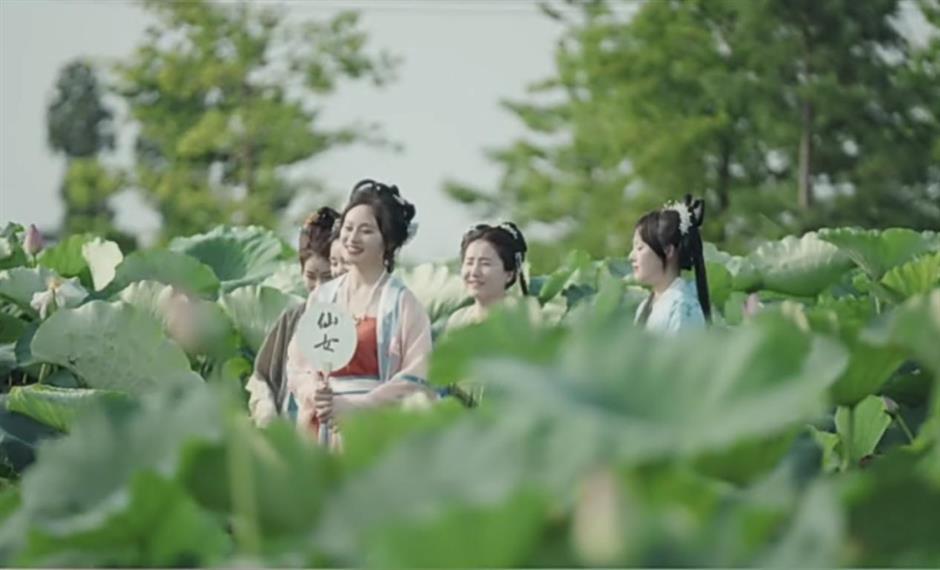 打卡「荷塘」書院、逛江南老街集市......周末,來這裡白相|家門口的好去處