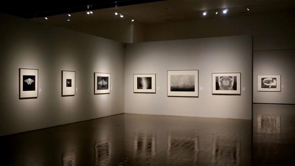 重磅!毕加索、夏加尔、米罗……他们的版画都来中华艺术宫这个展了