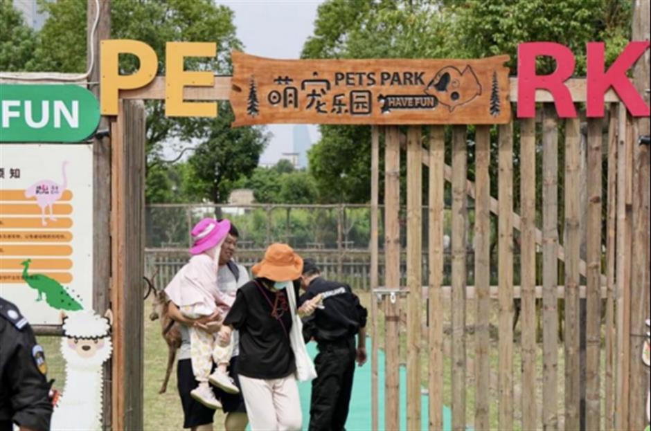 打卡「荷塘」書院、逛江南老街集市......周末,來這裡白相|家門口的好去處