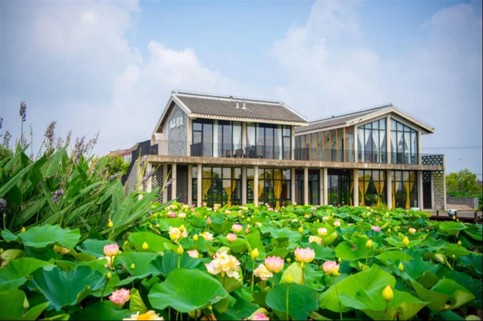 打卡「荷塘」書院、逛江南老街集市......周末,來這裡白相|家門口的好去處