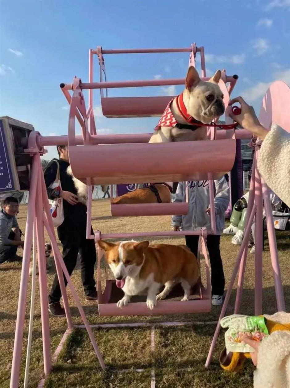 到金山廊下,方知「唯有牡丹真国色」!