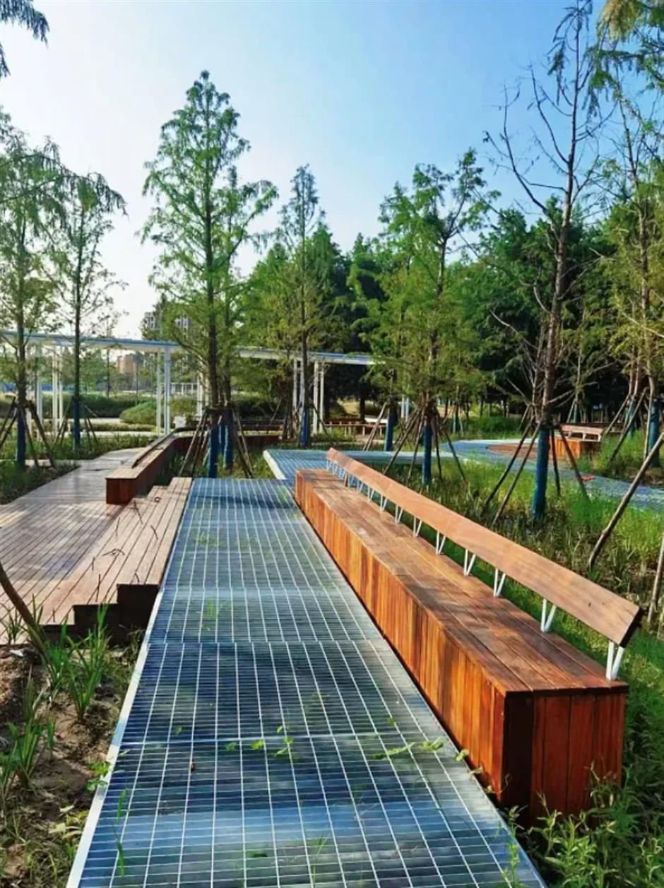 来一场春日半马苏河公园citywalk~