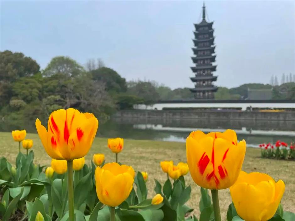 美成了油画!春日