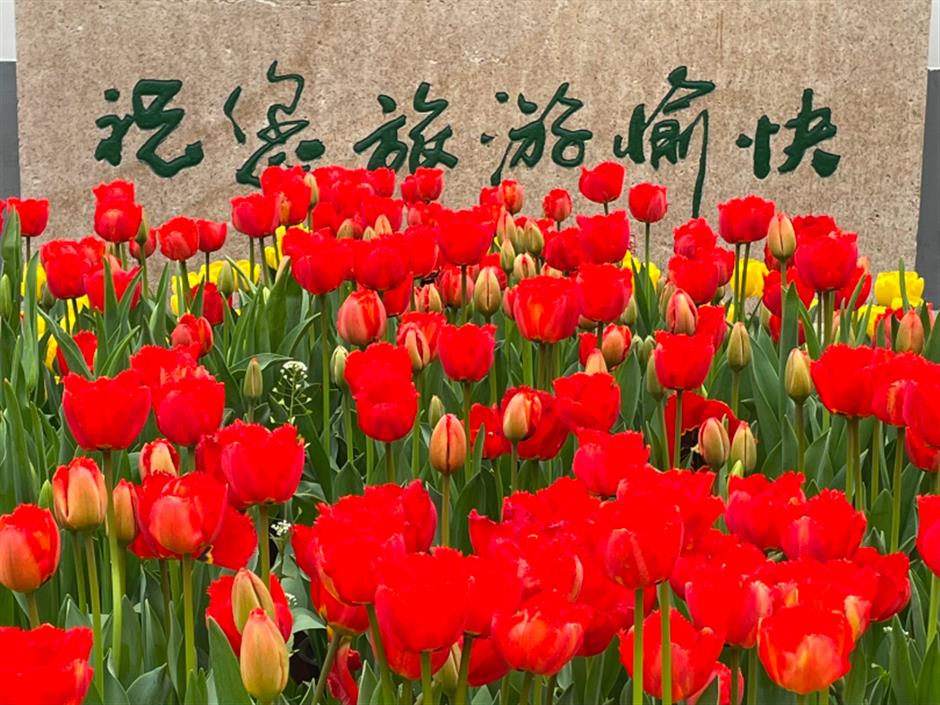 美成了油画!春日