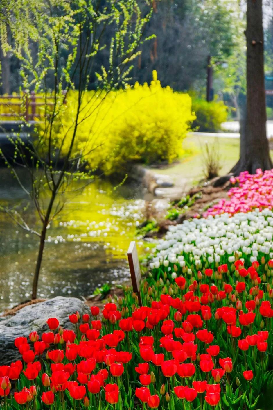 美成了油画!春日