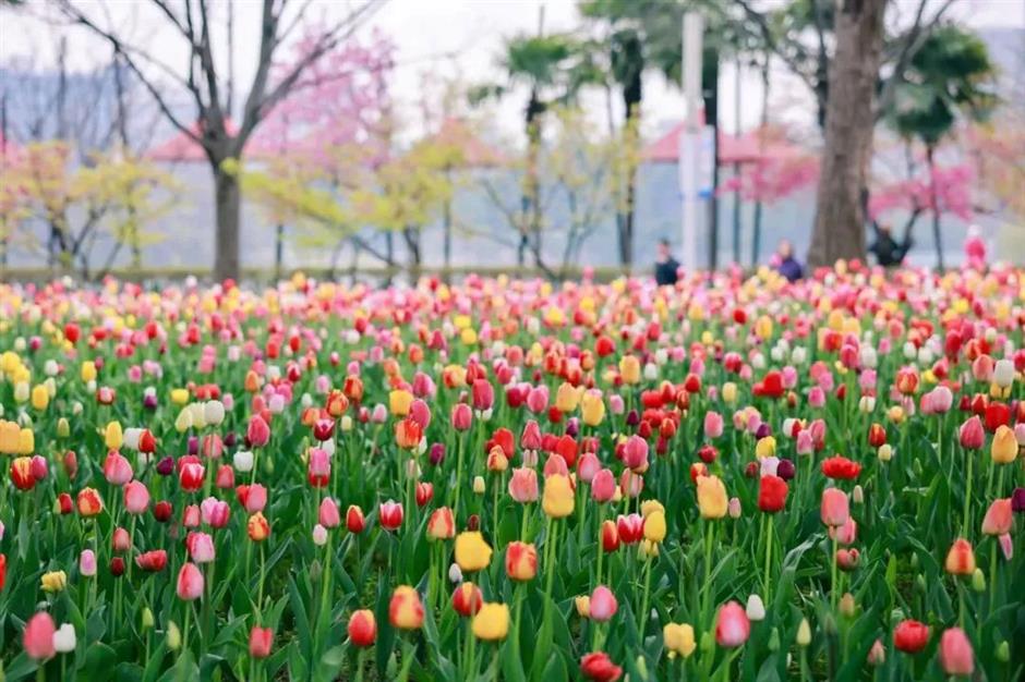 美成了油画!春日