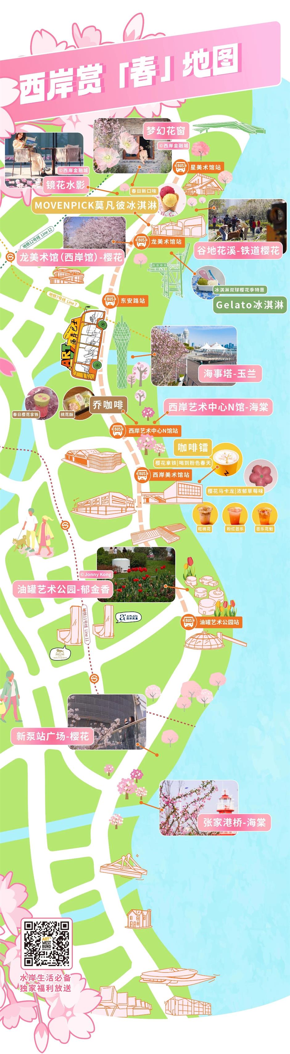 上海1500米绝美樱花大道打卡指南