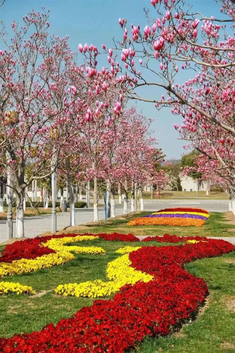 到這座超大公園裡,賞花、看展、露營吧。