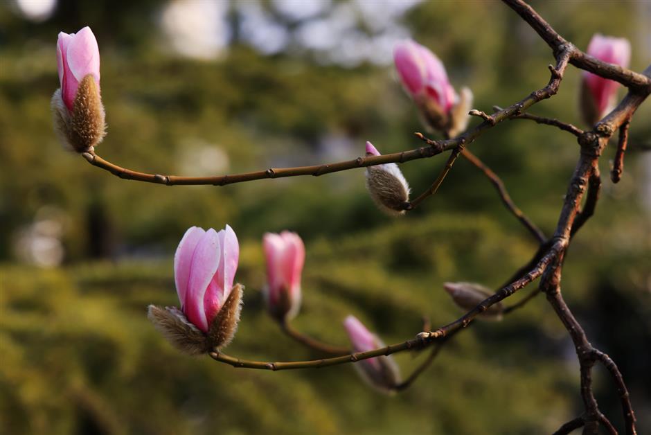 到這座超大公園裡,賞花、看展、露營吧。