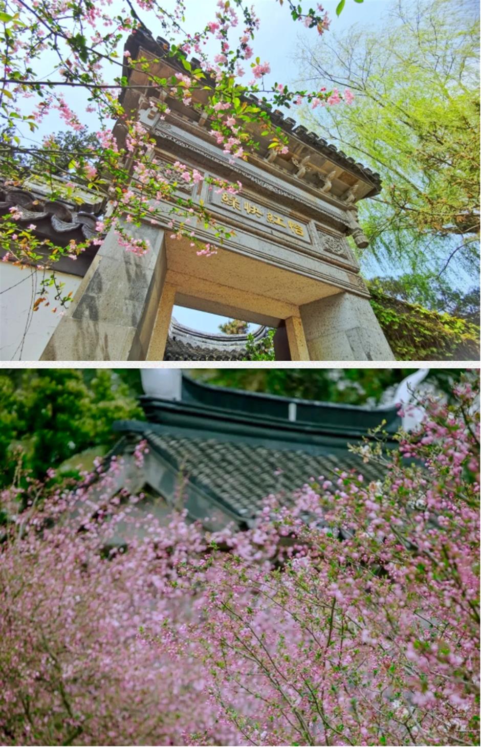 这条线路春色正浓,带你走进江南诗画里