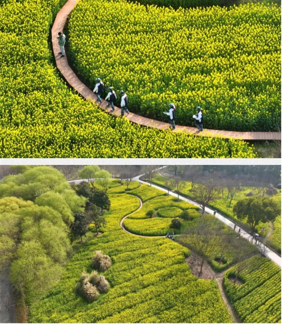 这条线路春色正浓,带你走进江南诗画里
