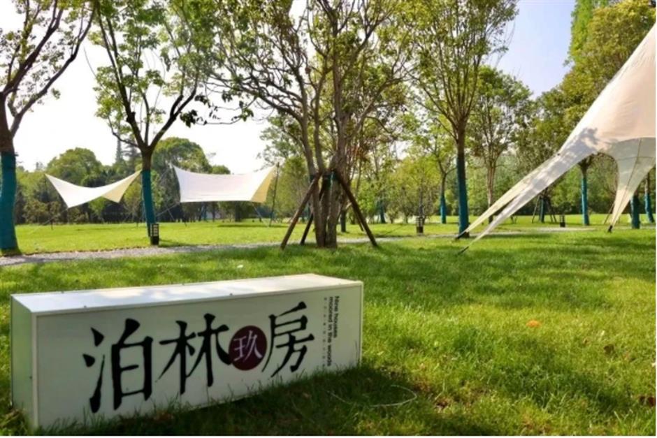 桃花朵朵开,来接住春天的浪漫