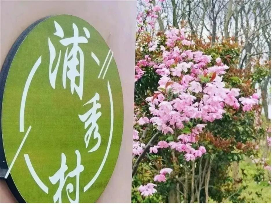 桃花朵朵开,来接住春天的浪漫