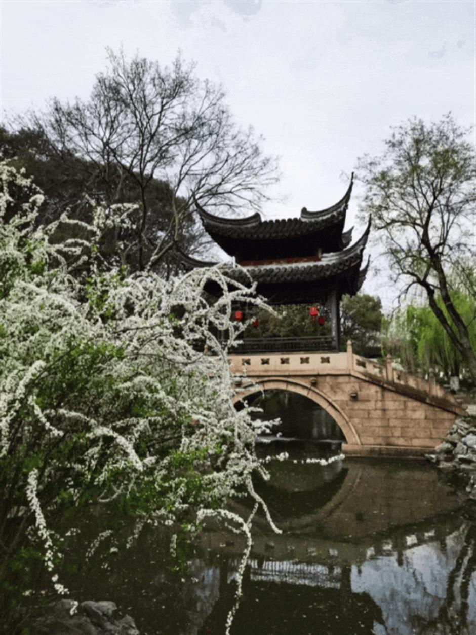 这条线路春色正浓,带你走进江南诗画里