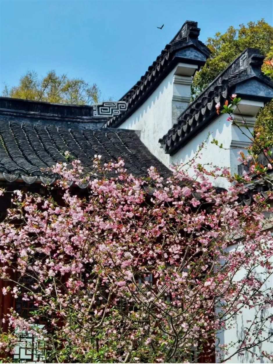 这条线路春色正浓,带你走进江南诗画里