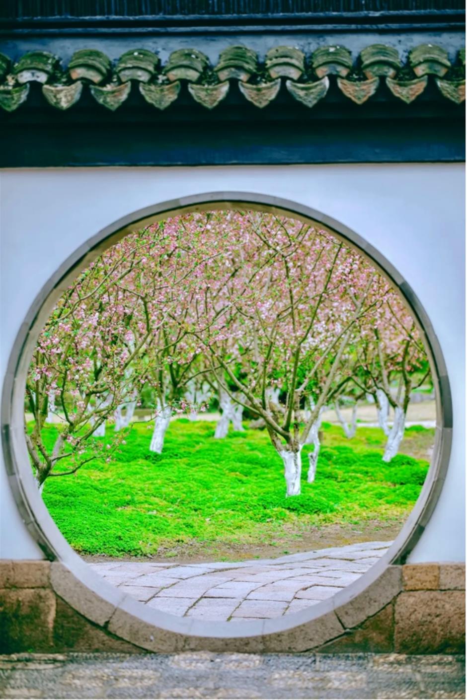 这条线路春色正浓,带你走进江南诗画里