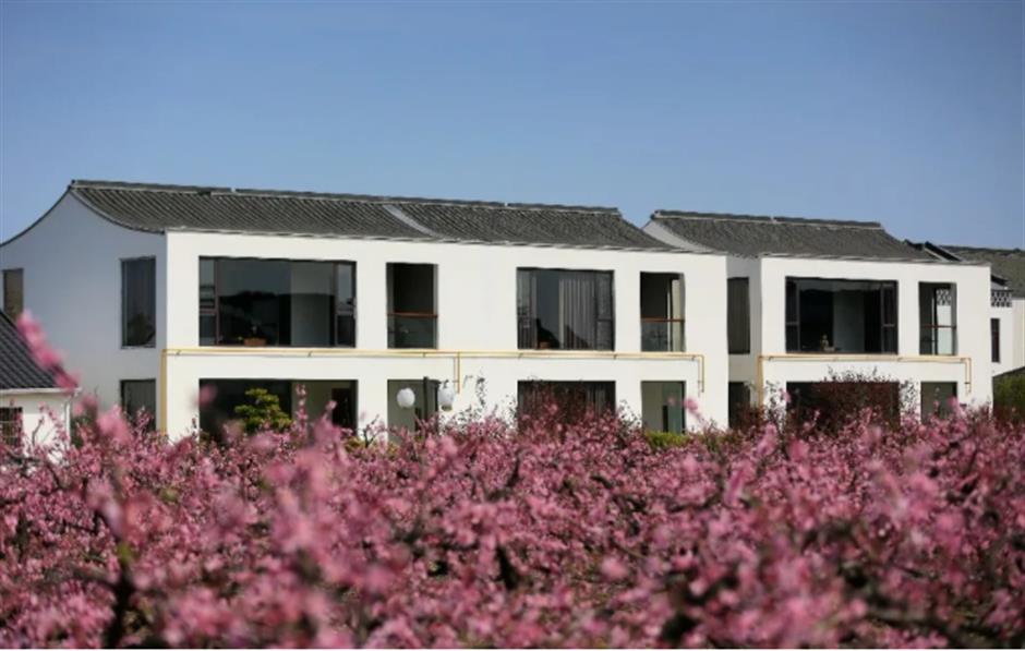 桃花朵朵开,来接住春天的浪漫