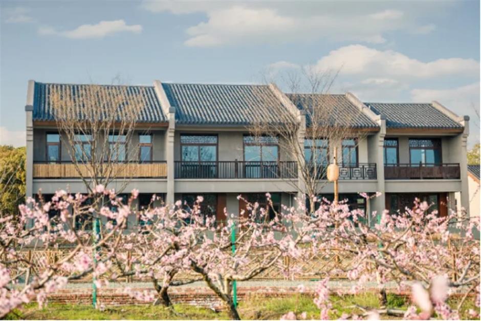 桃花朵朵开,来接住春天的浪漫