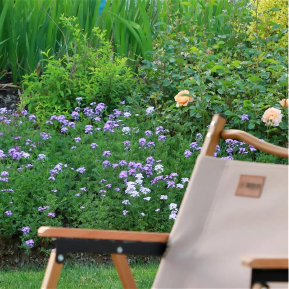 这条线路春色正浓,带你走进江南诗画里