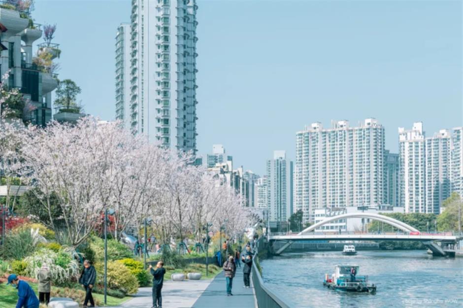 清明假日本市共接待游客664.10万人次