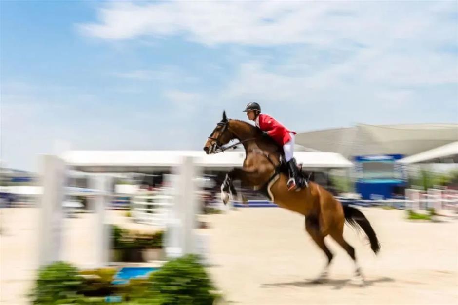 5000座观众看台赛马场开放,上海久事国际马术中心迎来重磅大赛
