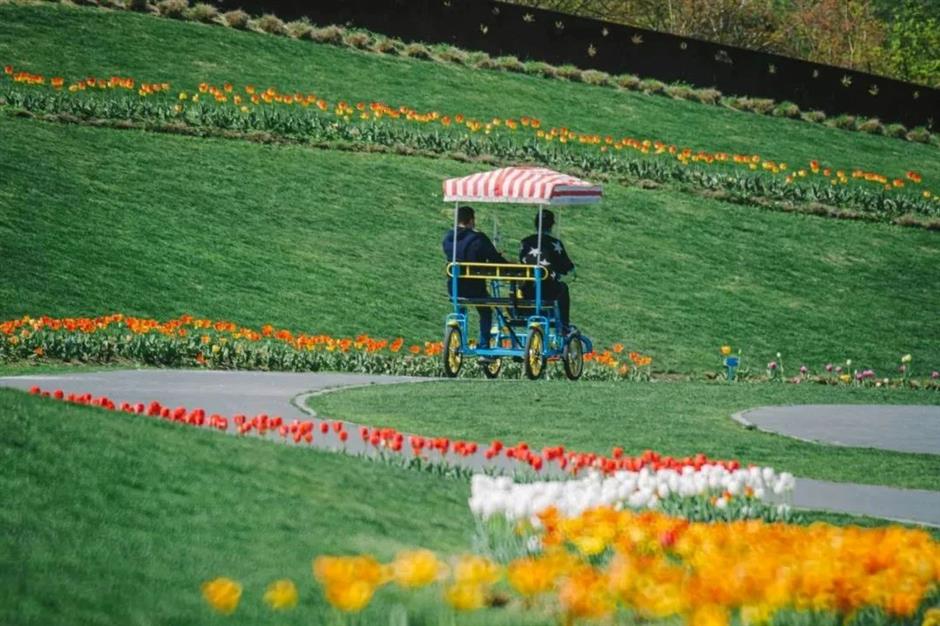 春日宝藏骑行路线,适合现在去!