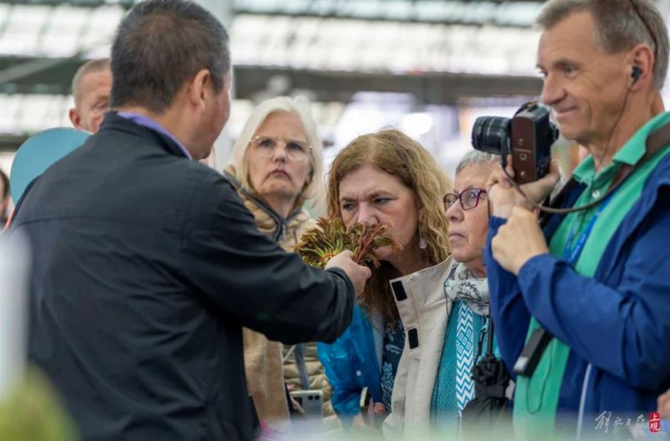 上观新闻|坐邮轮来上海菜场