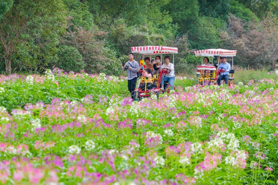 春日宝藏骑行路线,适合现在去!