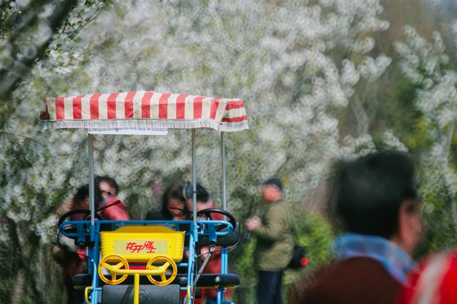 春日宝藏骑行路线,适合现在去!
