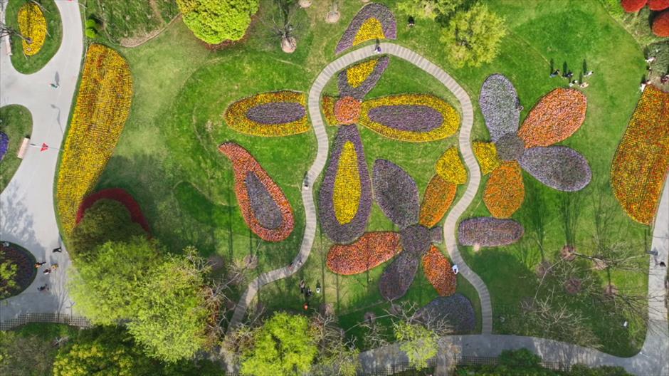 春日限定花海!黄浦江畔这座免费公园的郁金香美翻了→